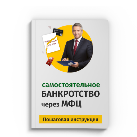 Пошаговая процедура банкротства через МФЦ в Махачкале